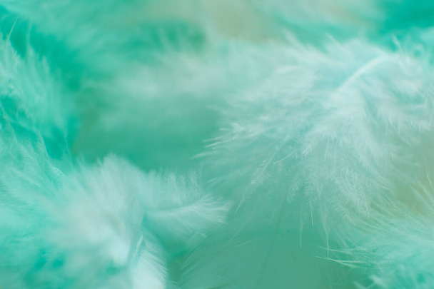φτερό σχεδίαση μόδας φόντο-ευτυχισμένος Βαλεντίνος θολή υφή μαλακή εστιασμένη φωτογραφία - Φωτογραφία, εικόνα
