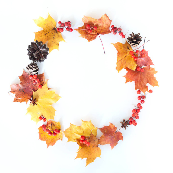 Wreath of autumn leaves, berries and cones on a white background - Fotoğraf, Görsel
