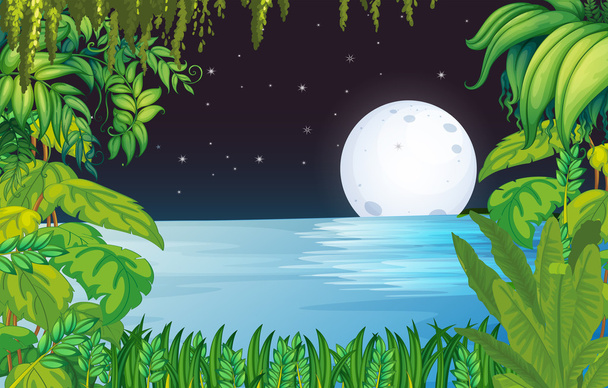 明るい満月の下で森林の湖 - ベクター画像