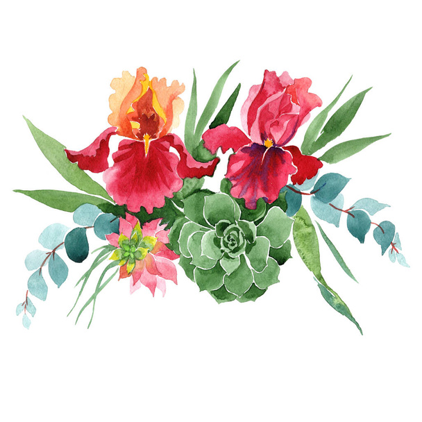 花束花植物の花。●水彩背景イラストセット。孤立した花束イラスト要素. - 写真・画像