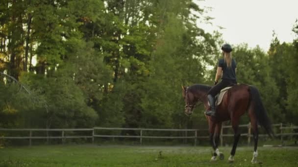 Riding a horse in a horse club - Footage, Video