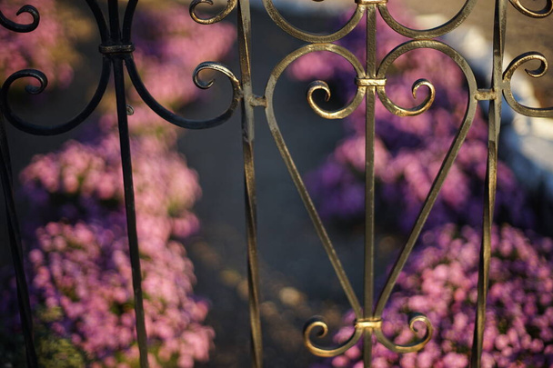 zwart gesmeed hek tegen een achtergrond van paarse bloemen in de tuin in wazig. - Foto, afbeelding