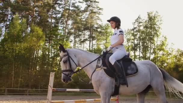 Los mejores momentos de equitación con un caballo favorito
 - Metraje, vídeo