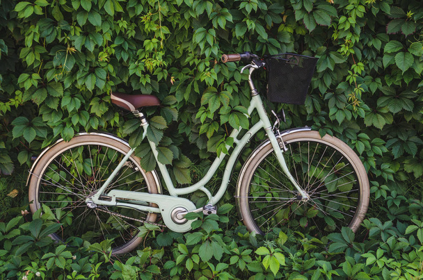 Городской велосипед с корзиной на зеленом фоне стены ползучего плюща
.  - Фото, изображение