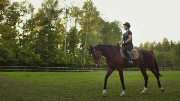 Equitation in nature in the horse club - Footage, Video