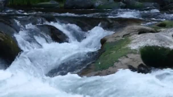 snelle rivier stroomt over grote rotsblokken stroomt door een bos - Video