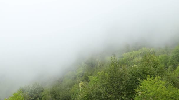 Κίνηση των λευκών νεφών (κινούμενα σύννεφα) στα δέντρα που βρίσκονται στο βουνό, πλαϊνή άποψη, κοντά. Χρονικό διάστημα. Τα άσπρα σύννεφα μοιάζουν με ομίχλη. Μαυροβούνιο - Πλάνα, βίντεο