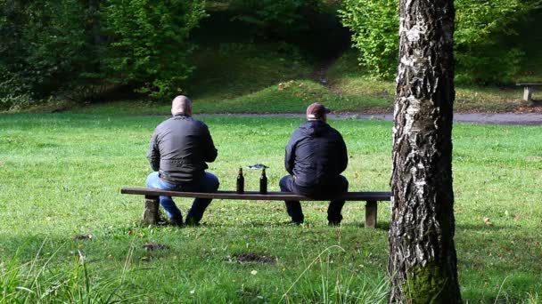 zwei Männer mit einer Flasche im Park auf einer Bank - Filmmaterial, Video