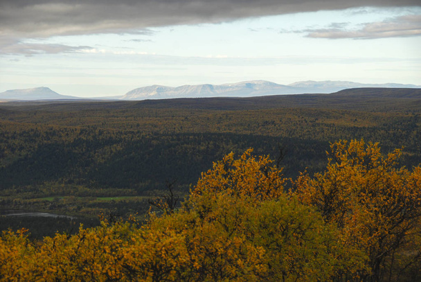 Landschaft des Herbstwaldes der Region Finnmark, Norwegen, mit massiven Bergen im Hintergrund - Foto, Bild