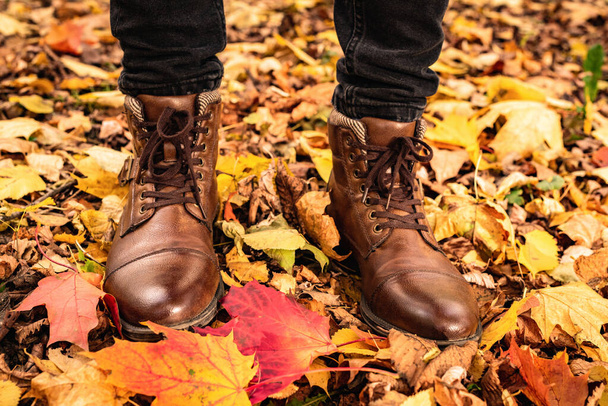 Male legs in brown leather boots on foliage - Photo, Image