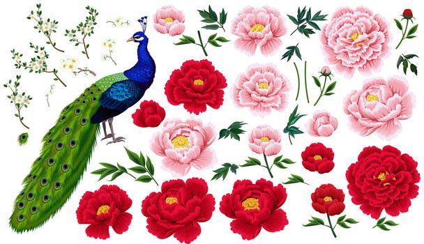 Peonies,plums branches and peacock in Chinese style - Vector, Image