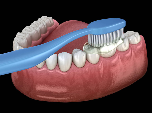 Toothbrush cleaning teeth. Medically accurate 3D illustration of oral hygiene. - Photo, Image