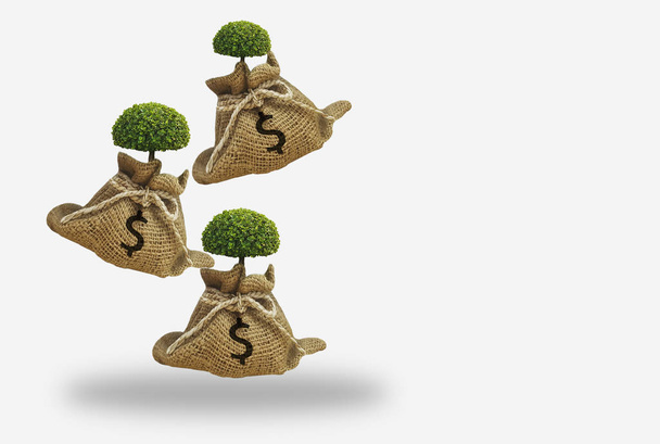 Коричневий конопляний мішок з доларовим знаком, росте дерево з падінням з  - Фото, зображення
