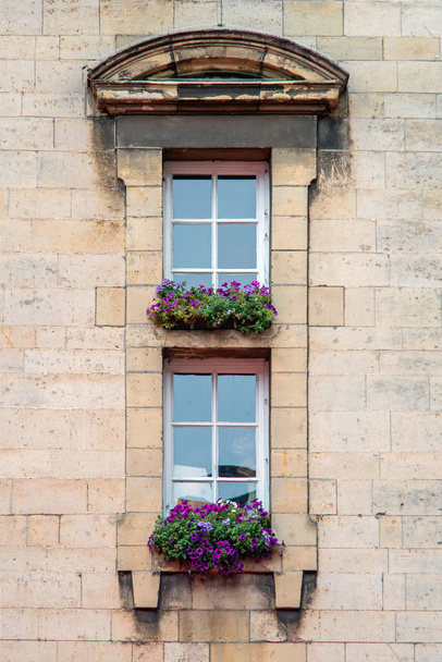 Two windows with flowers - Foto, Imagen