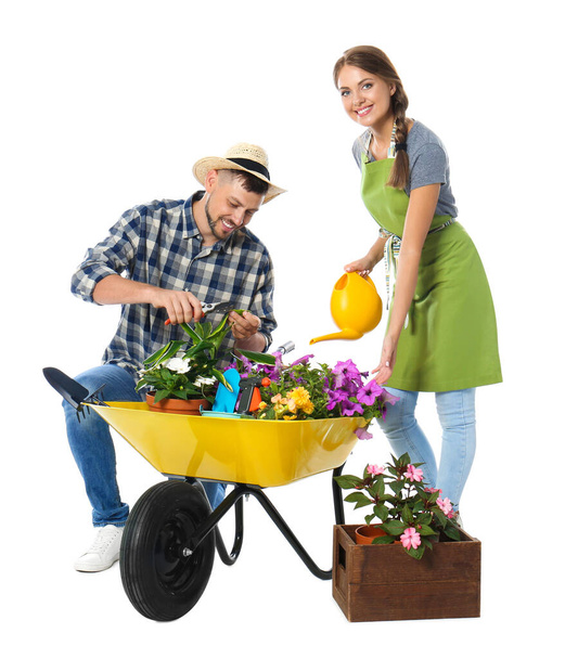 Couple of gardeners with wheelbarrow and plants on white background - Valokuva, kuva