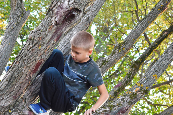 A boy climbs trees.  Cheerful happy free childhood on fresh  air. - Fotó, kép