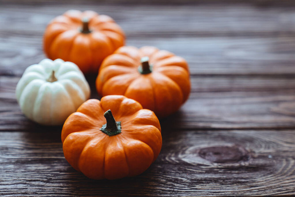 A group of miniature pumpkin - Фото, изображение