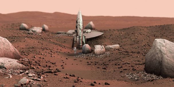 На марсианской земле найдены усы
  - Фото, изображение