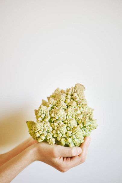 Children's hands hold cabbage varieties of Romanescu on a light background - Photo, Image