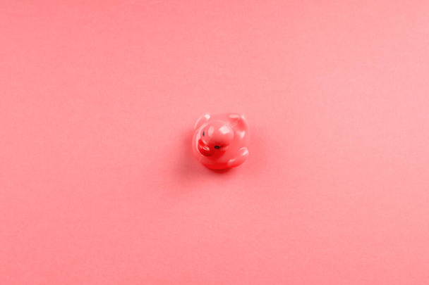 rosa Glamour-Gummiente auf monochromem Hintergrund - Foto, Bild