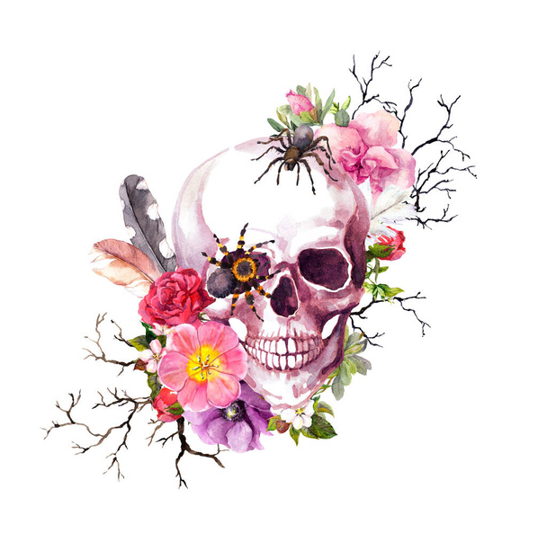 Human skull, flowers, feathers, spiders. Watercolor Halloween design, gothic tattoo - 写真・画像