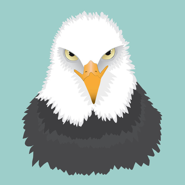 Een portret van een kale adelaar in acrylinkt. Je ziet hem van voren en hij kijkt boos.. - Vector, afbeelding