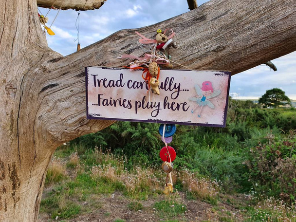 Tread carefully. Fairies play here. Fairy Tree at The Duver, St.Helen's, Isle of Wight. - Photo, Image