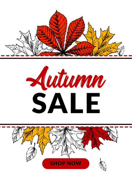 Handgezeichnetes Herbstverkaufsbanner mit schönen Blättern. vertikales au - Vektor, Bild