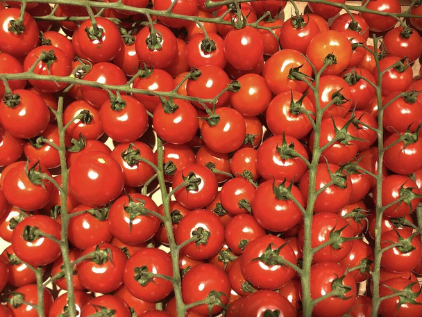 Red, small cherry tomatoes in a crate. Background texture: ripe tomatoes with green sprigs. Ripe vegetables, a bunch of bright red tomatoes, close-up. - Photo, Image