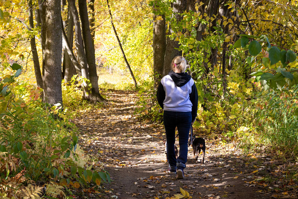 Mujer rubia paseando a su perro en un sendero en otoño
 - Foto, imagen