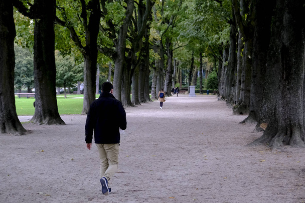 Az emberek turnéznak a Park Cinquantenaire közepette sárgás és zöldes fák ősszel Brüsszelben, Belgiumban október 11, 2019. - Fotó, kép