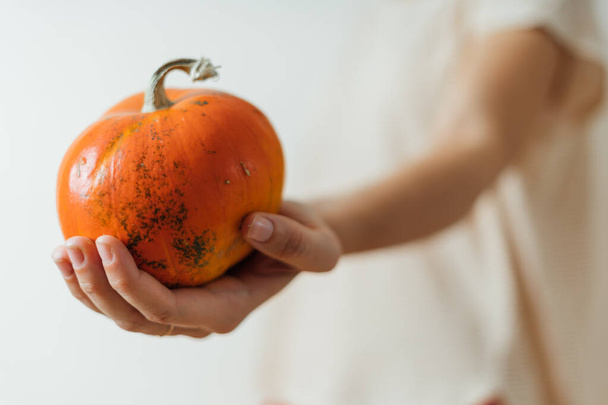 Woman hand holding pumpkin in hand. Halloween or harvest concept. Copy space - Foto, Bild