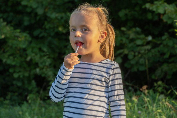 Cute little girl eating lollipop outdoors - Fotoğraf, Görsel