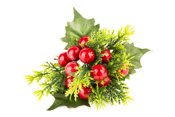 Christmas holly berry branch - Photo, Image