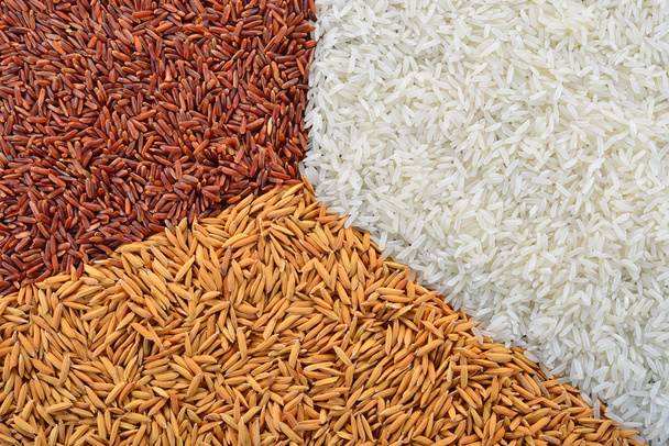 ρύζι - Φωτογραφία, εικόνα