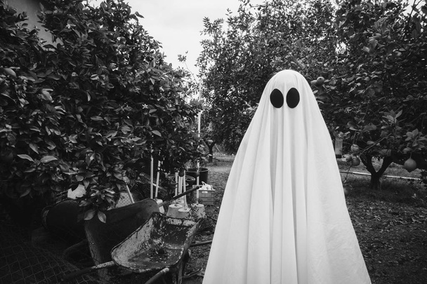 Szellem, fehér kísértetlepedővel borítva egy erdőben. Halloween koncepció - Fotó, kép