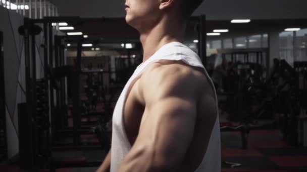 Lateral raise with dumbbells - Materiał filmowy, wideo