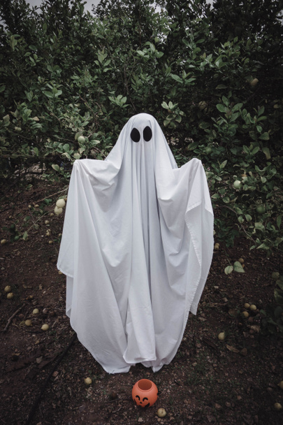 Fantasma coperto da un lenzuolo fantasma bianco su una foresta. Concetto di Halloween
 - Foto, immagini