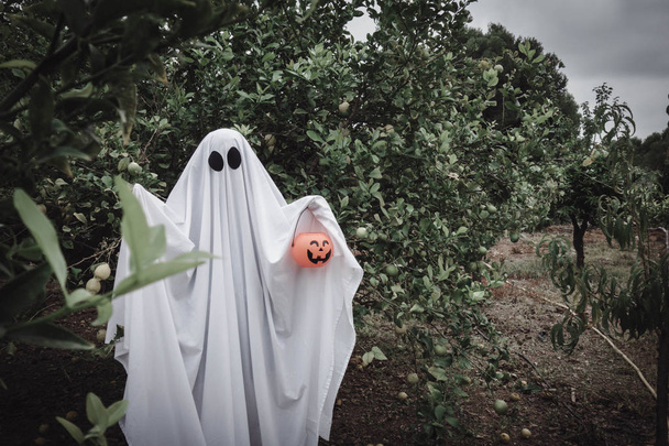 Ghost covered with a white ghost sheet on a forest with halloween pumpkin candy jar. Halloween Concept - Photo, Image