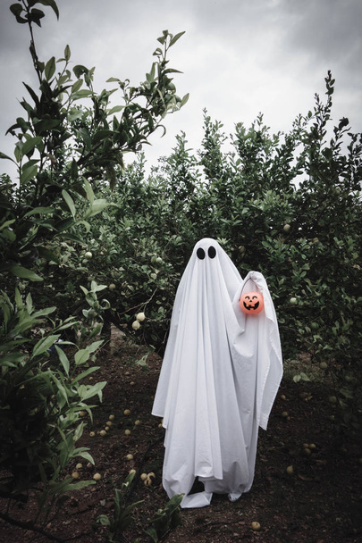 Duch pokrytý bílým přízračným prostěradlem na lese s halloweenskou dýňovou nádobou na sladkosti. Halloween Concept - Fotografie, Obrázek