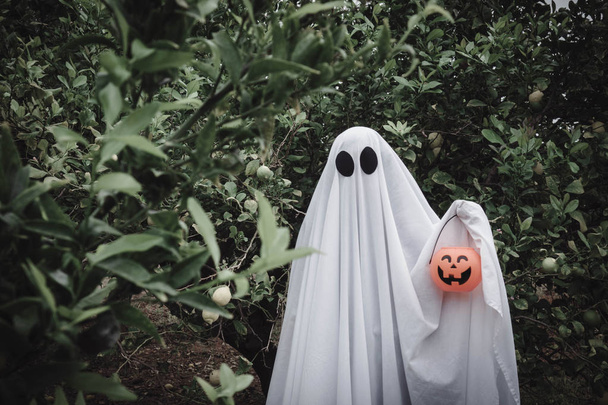 Fantasma cubierto con una sábana blanca fantasma en un bosque con tarro de caramelo de calabaza de Halloween. Concepto de Halloween
 - Foto, imagen