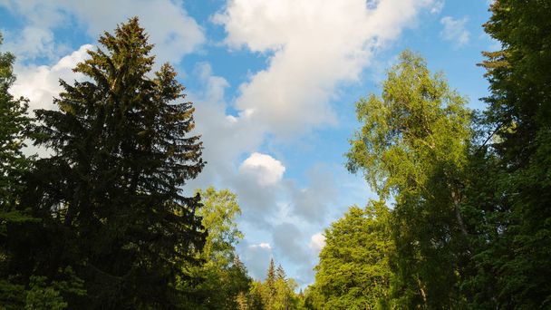 Φυσικό Πάρκο Vitosha κοντά στη Σόφια, Βουλγαρία. Στην περιοχή Γκόλντεν Μπρίτζες. Φυσικό τοπίο - Φωτογραφία, εικόνα