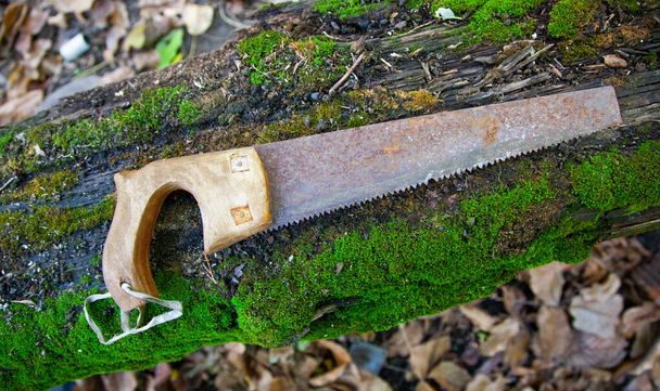 Old rusty hand saw on a board covered with moss - Φωτογραφία, εικόνα