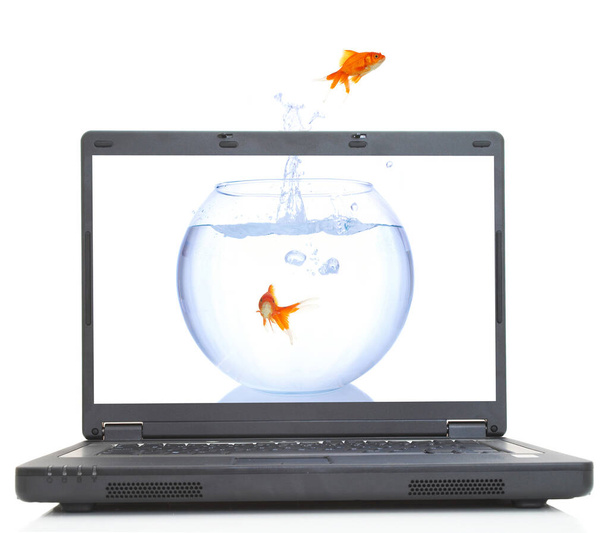 Goldfish escapar
 - Foto, Imagem