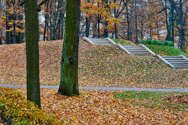 Paisagem do parque florestal de outono
 - Foto, Imagem