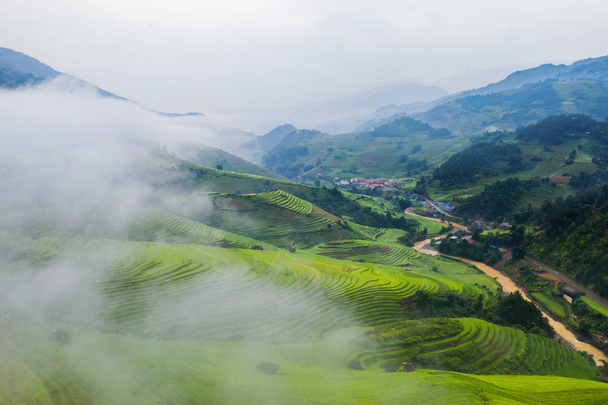 Letecký pohled shora na rýžové terasy, zelené zemědělské pole - Fotografie, Obrázek