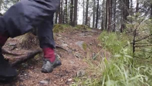 Rer uitzicht op mannelijke wandelaar op bosweg. Voorraadbeelden. Close-up van de man reiziger schoenen verkennen van de natuur en wandelen door het bos, trekking een rotsachtig pad tussen groene pijnbomen. - Video