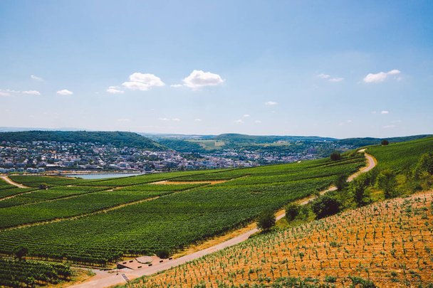 Blick auf das Mittelrheintal mit wunderschönen Weinbergen, die hinunter zu einem weit entfernten mittelalterlichen Dorf Rüdesheim führen. UNESCO - Foto, Bild