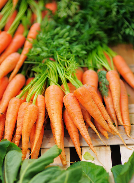 Carrots and salad on farmer agricultural market - 写真・画像