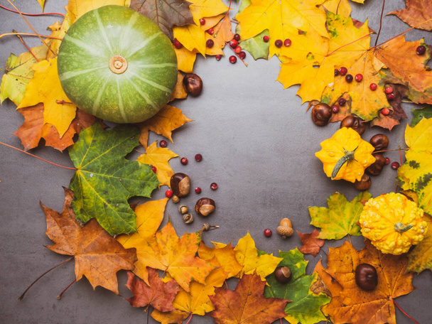 Slavnostní podzimní dekor z dýní, bobulovin, kaštanů, listů na šedém betonovém podkladu. Koncept dne díkůvzdání nebo Halloweenu. Plochá podzimní skladba. - Fotografie, Obrázek